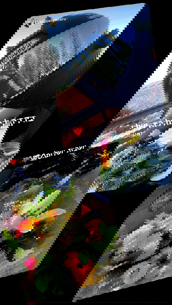 shanidahan7 image ~ Altpins