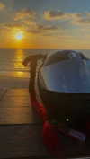 shanidahan7 Altpins Profile Picture