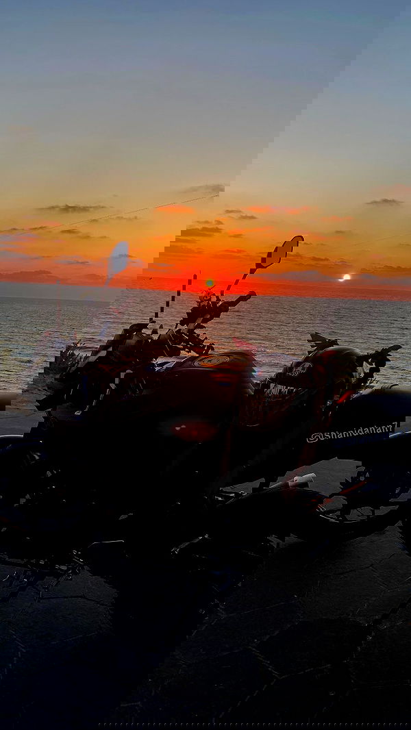 shanidahan7 image ~ Altpins