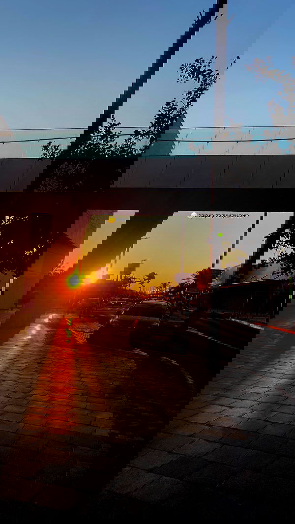 shanidahan7 image ~ Altpins