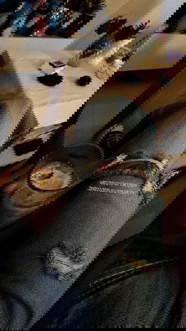 shanidahan7 image ~ Altpins