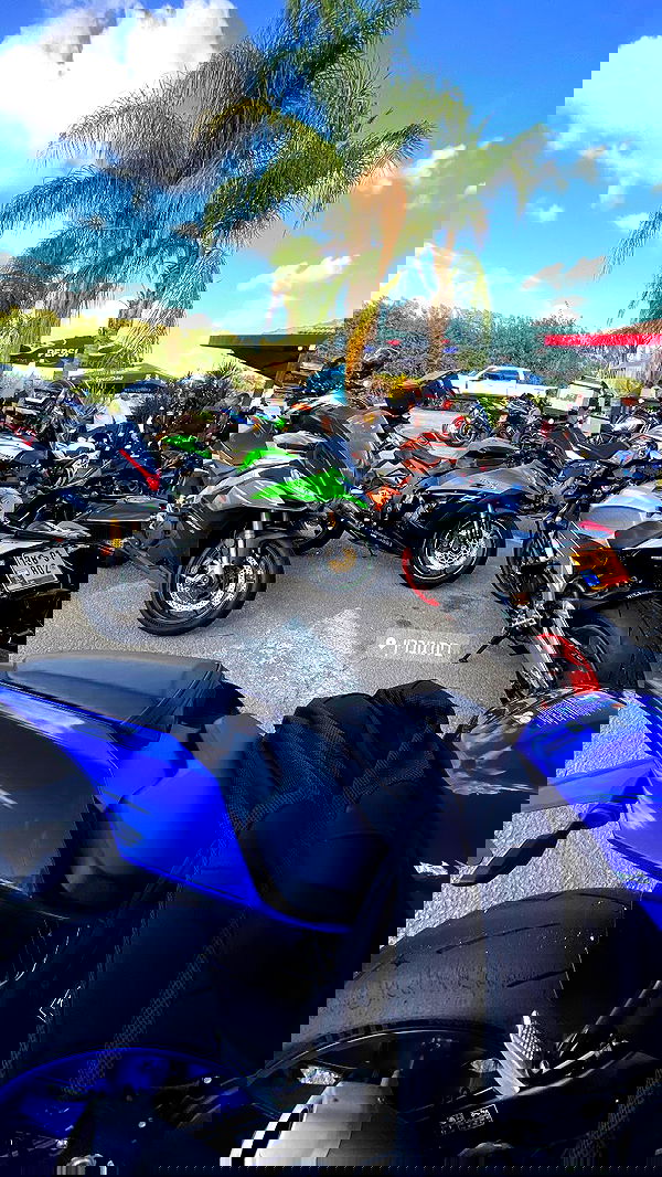 shanidahan7 image ~ Altpins