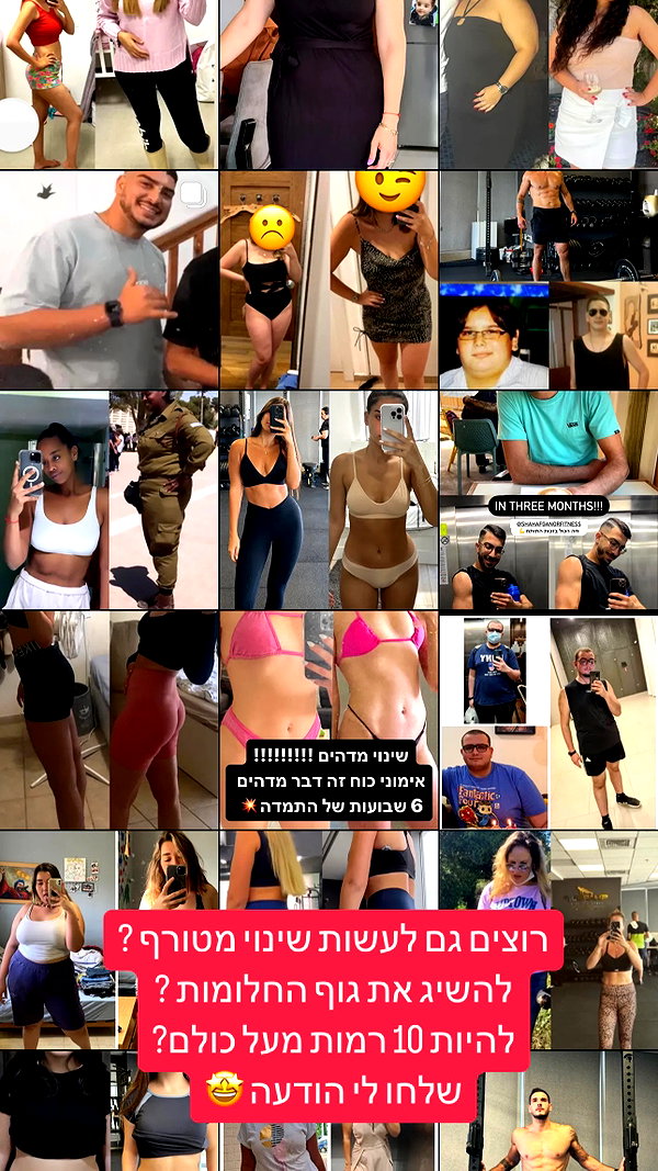 shapeup.premium instagram image archive image