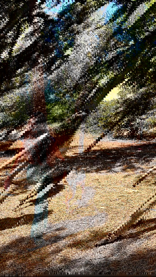 shelly_.mor image ~ Altpins