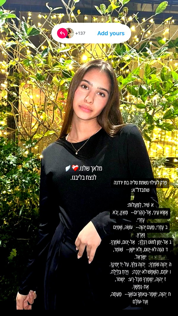 shir.albilia instagram image archive image