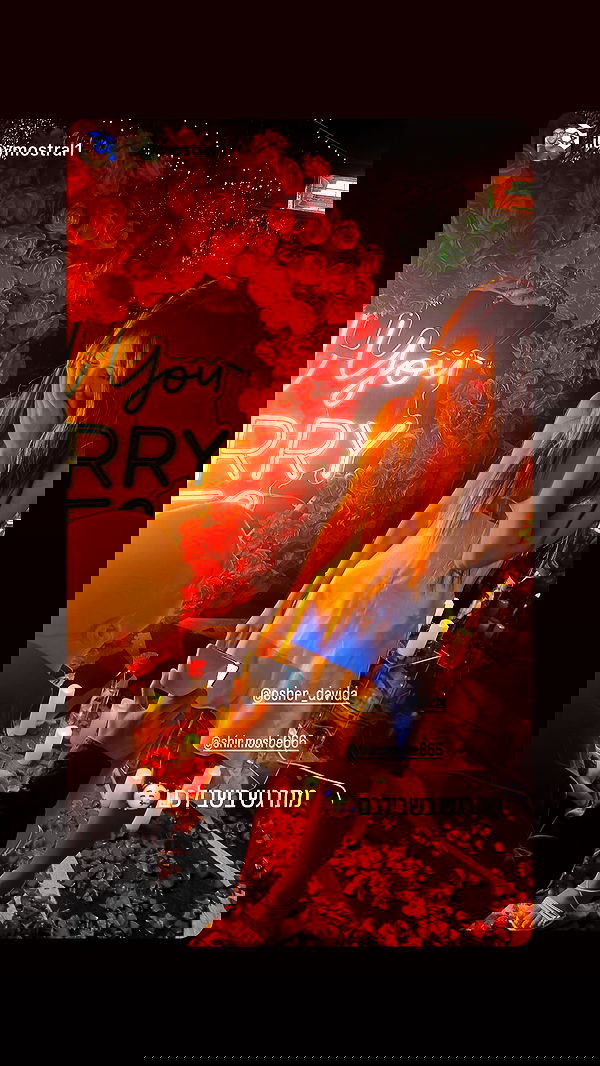 shir.davida6 shir.davida6 archive image