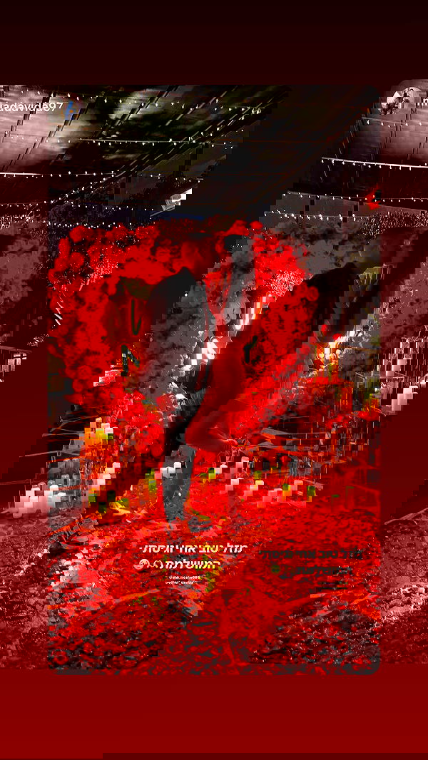 shir.davida6 shir.davida6 archive image