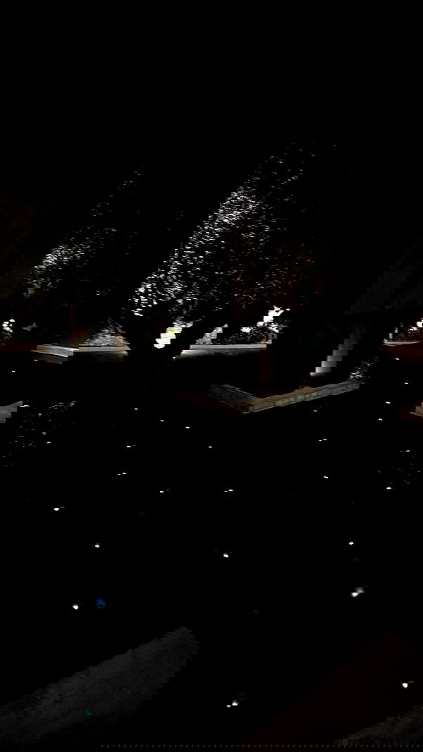 shir.davida6 shir.davida6 archive image