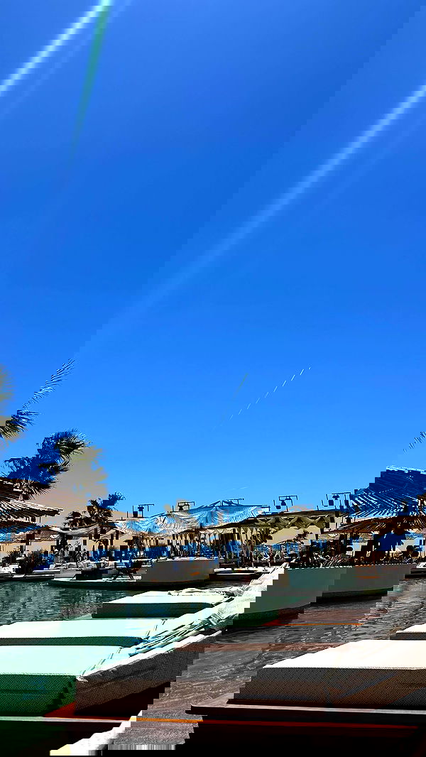 shir.davida6 shir.davida6 archive image