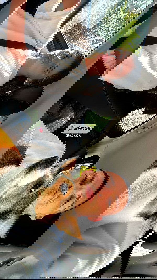 shir.davida6 shir.davida6 archive image