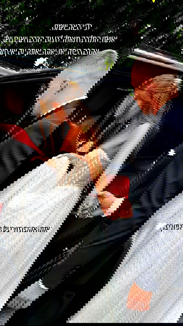 shir.davida6 shir.davida6 archive image