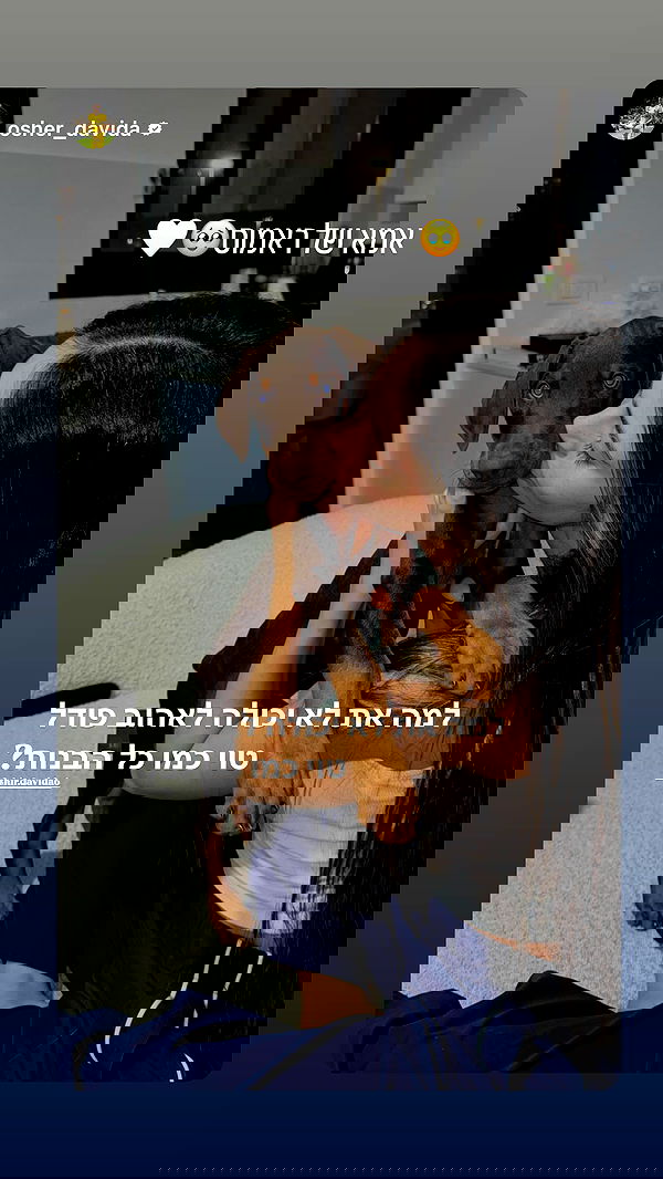 shir.davida6 shir.davida6 archive image