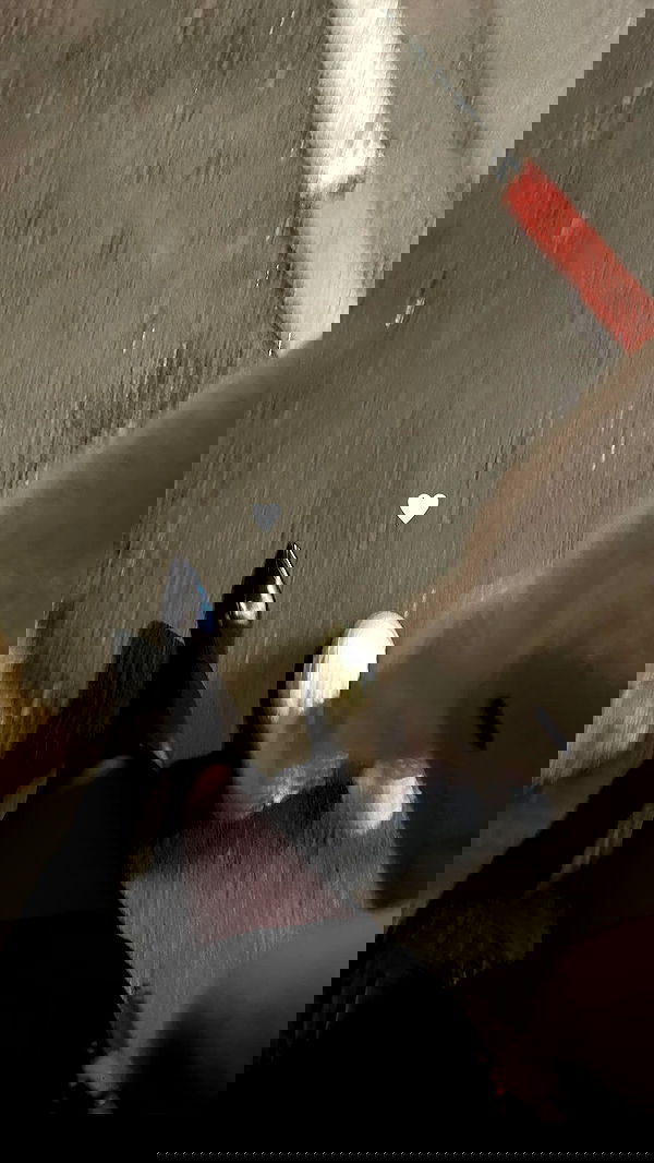 shir.davida6 shir.davida6 archive image