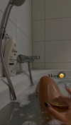 shir.moshe666 Altpins Profile Picture
