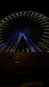 shir.moshe666 Altpins Profile Picture