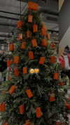 shir.moshe666 Altpins Profile Picture