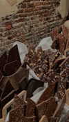 shir.moshe666 Altpins Profile Picture