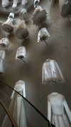 shir.moshe666 Altpins Profile Picture
