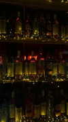 shir.moshe666 Altpins Profile Picture