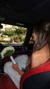 shir.moshe666 Altpins Profile Picture