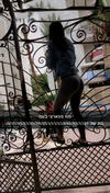 shir.moshe666 Altpins Profile Picture