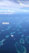 shira_karvat Altpins Profile Picture