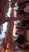 shira_karvat Altpins Profile Picture