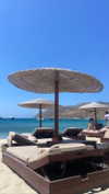 shira_karvat Altpins Profile Picture