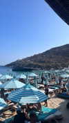 shira_karvat Altpins Profile Picture