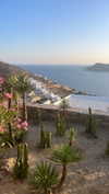 shira_karvat Altpins Profile Picture