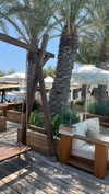 shira_karvat Altpins Profile Picture