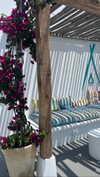 shira_karvat Altpins Profile Picture