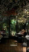 shira_karvat Altpins Profile Picture