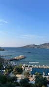 shira_karvat Altpins Profile Picture