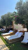 shira_karvat Altpins Profile Picture