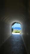 shira_karvat Altpins Profile Picture