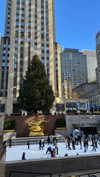 shira_karvat Altpins Profile Picture