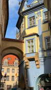 shira_karvat Altpins Profile Picture