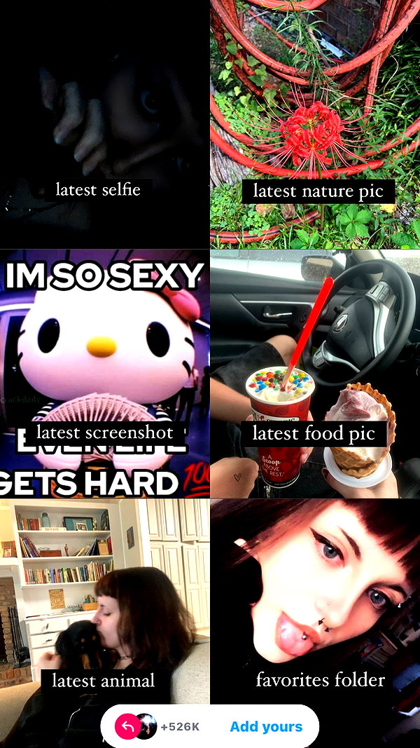 si11yc0rpse instagram image archive image