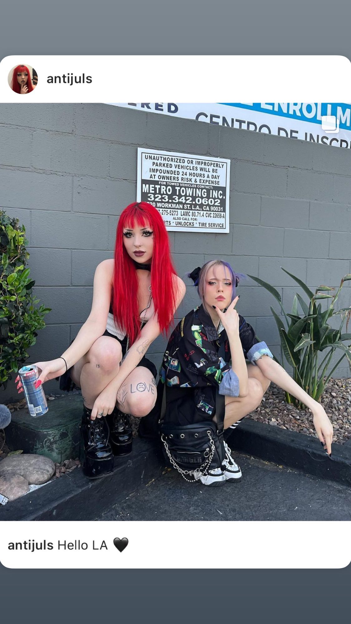 silkton instagram image archive image