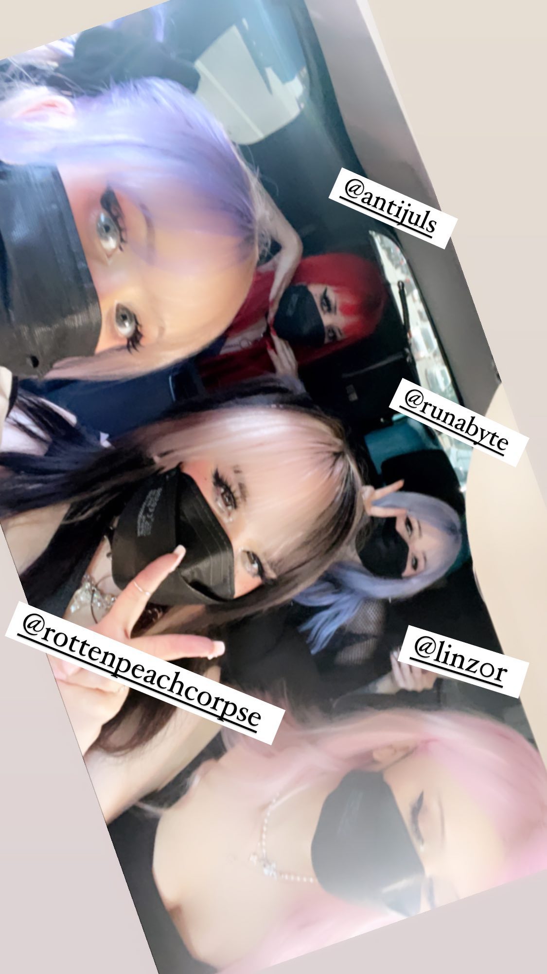 silkton instagram image archive image