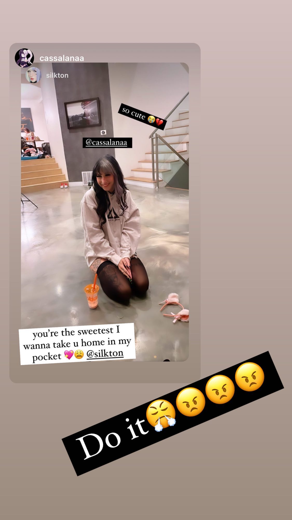 silkton instagram image archive image