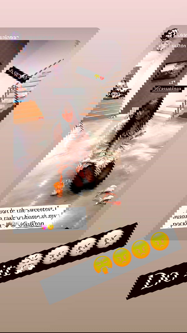 silkton image ~ Altpins