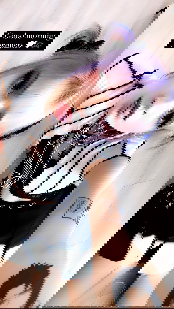 silkton image ~ Altpins