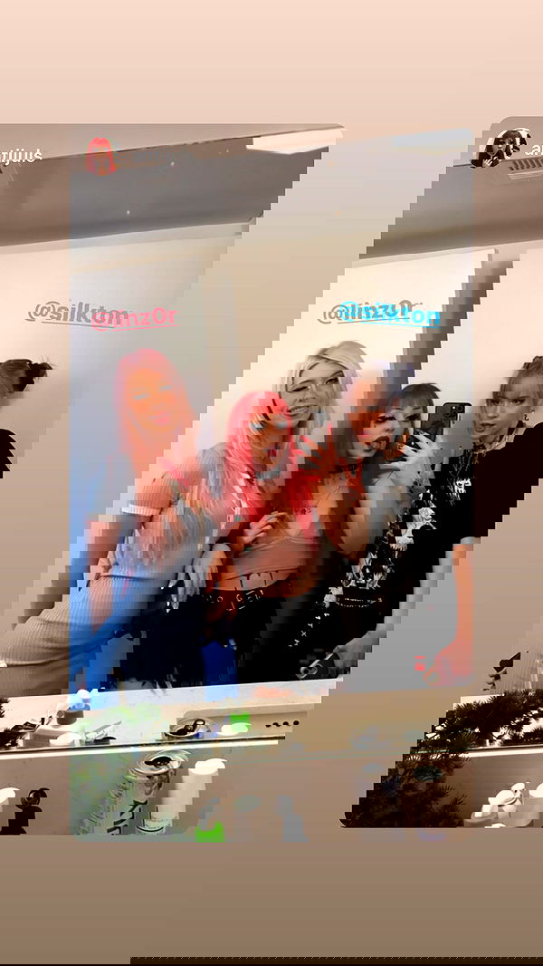 silkton image ~ Altpins