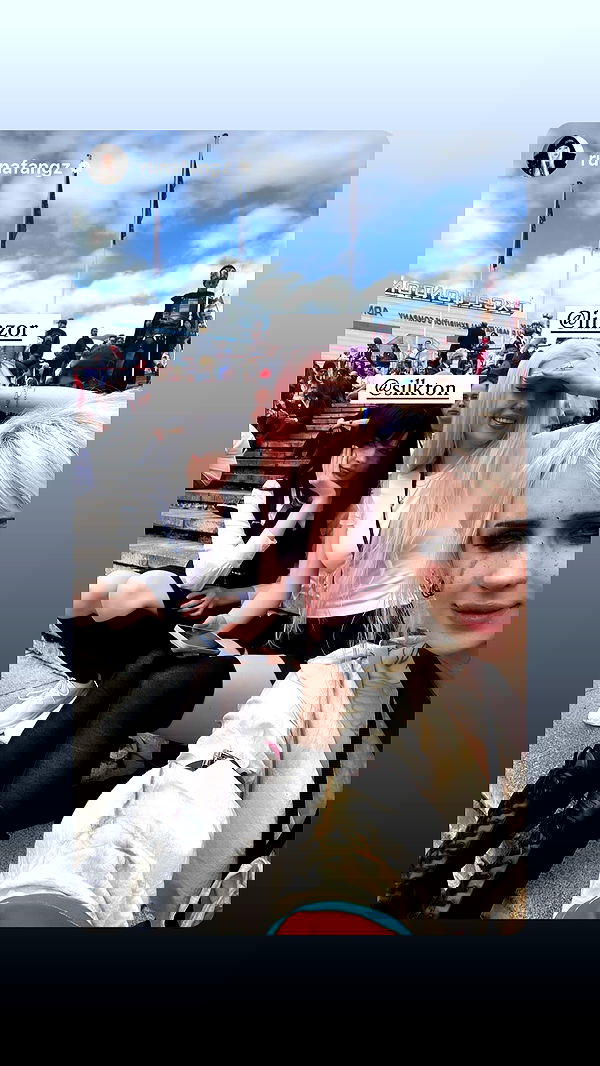 silkton image ~ Altpins