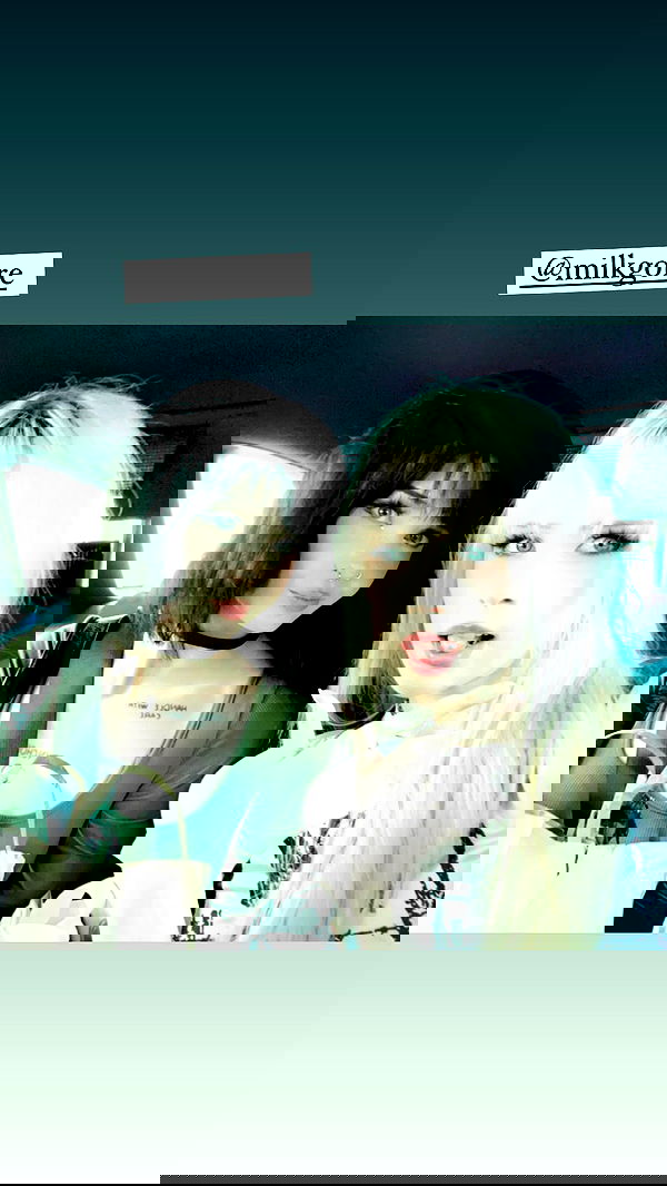 silkton image ~ Altpins