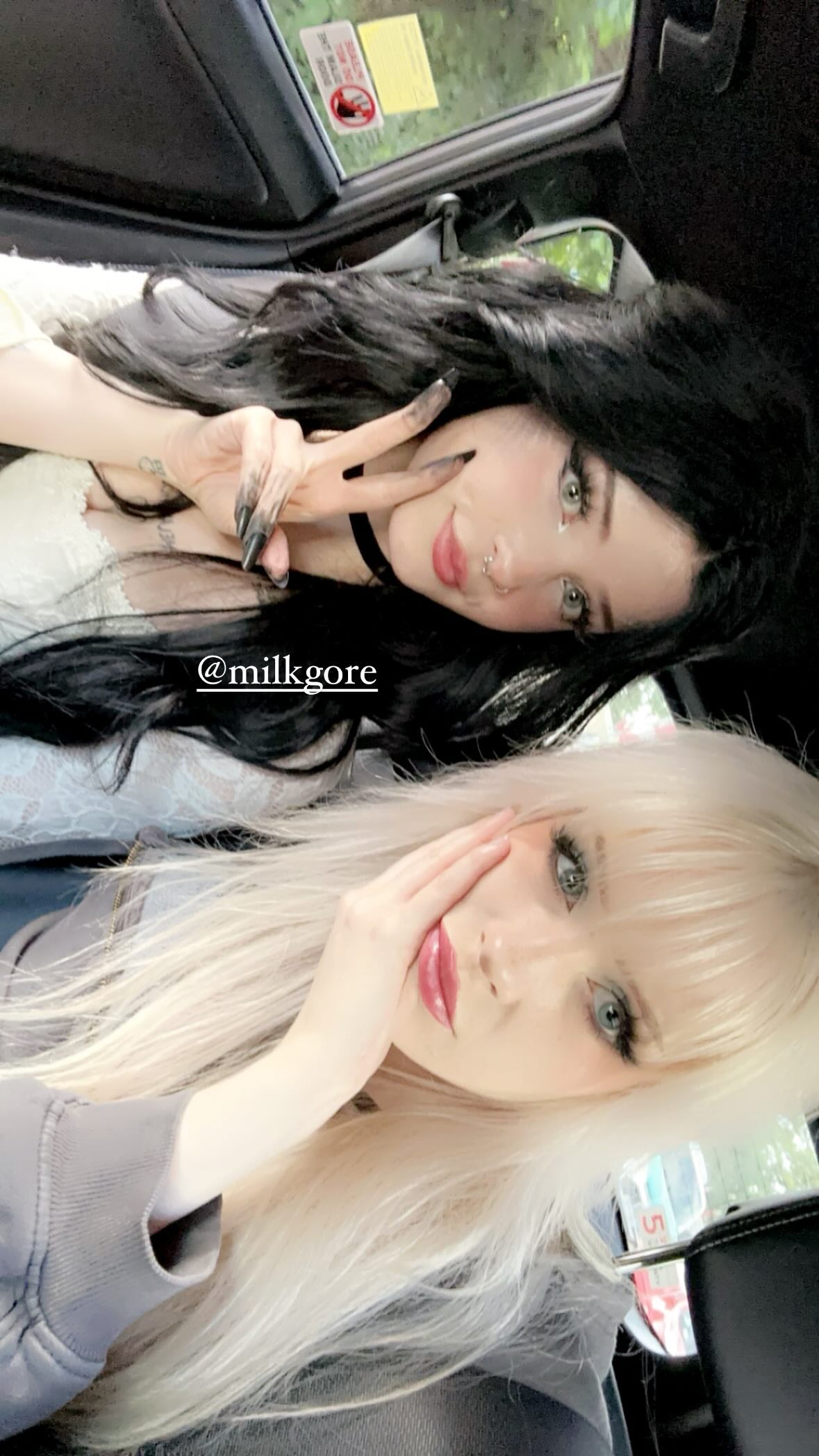 silkton instagram image archive image