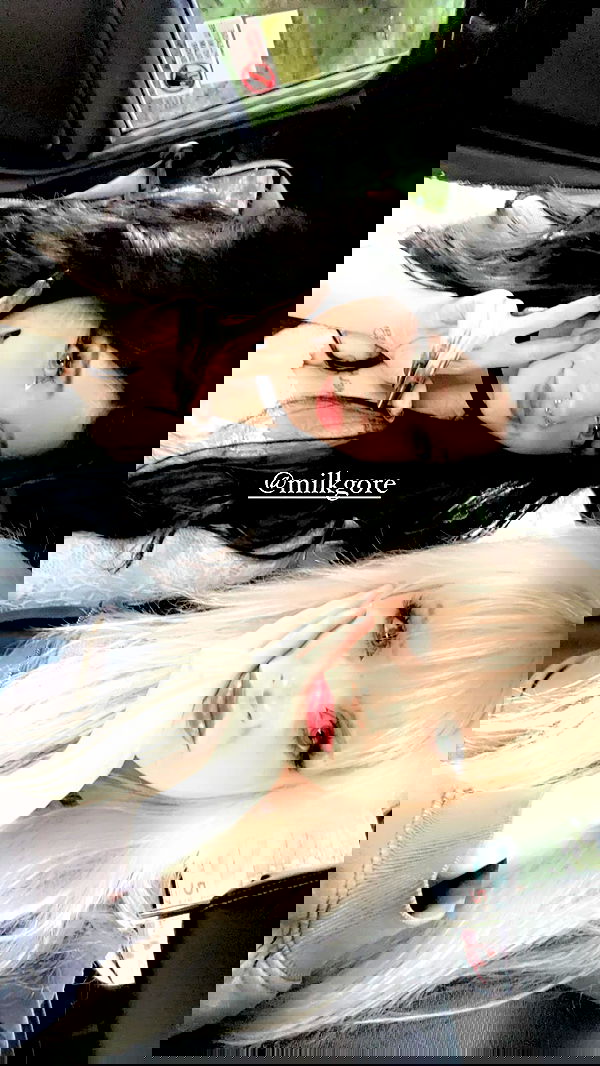 silkton image ~ Altpins