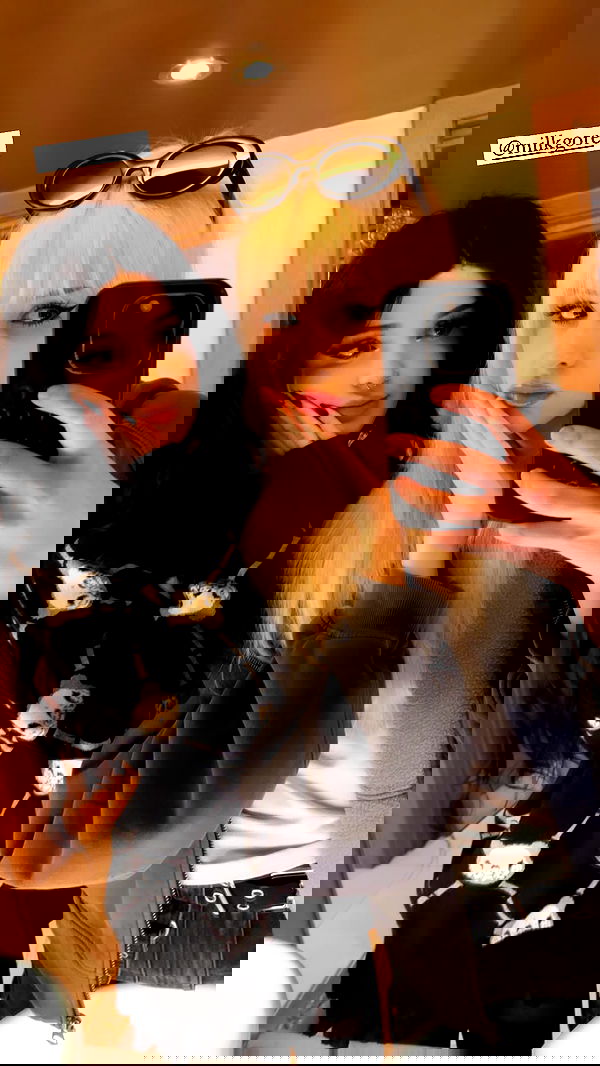 silkton image ~ Altpins